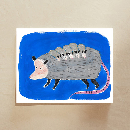 The Opossum