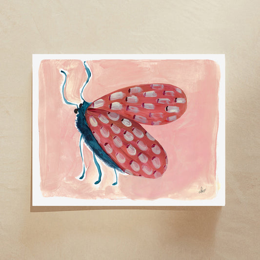 Pink Moth