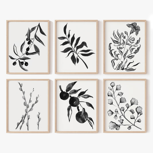 Black and Beige Botanicals Wall Gallery Collection