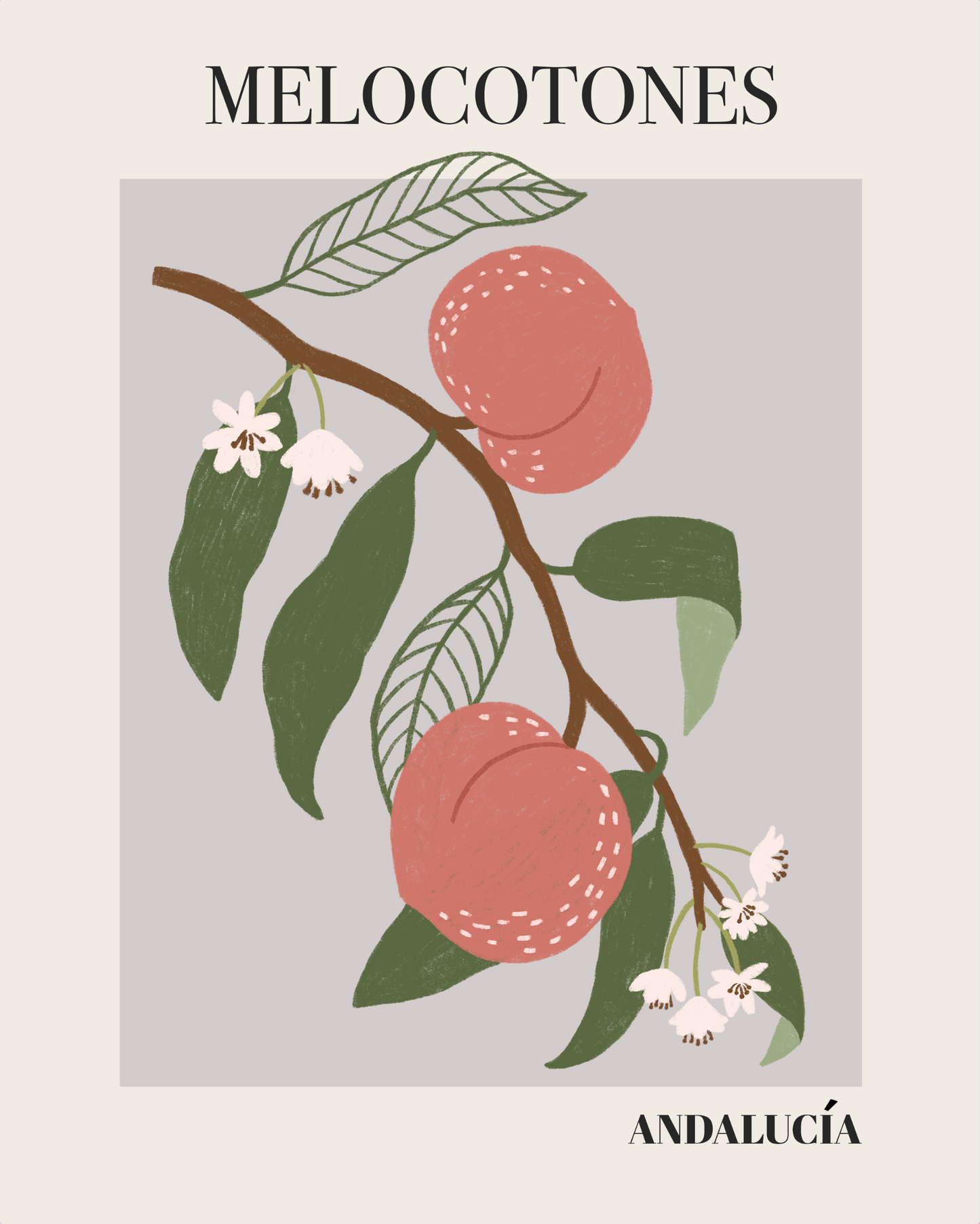 Botanical Modern Fruit Market Gallery Wall
