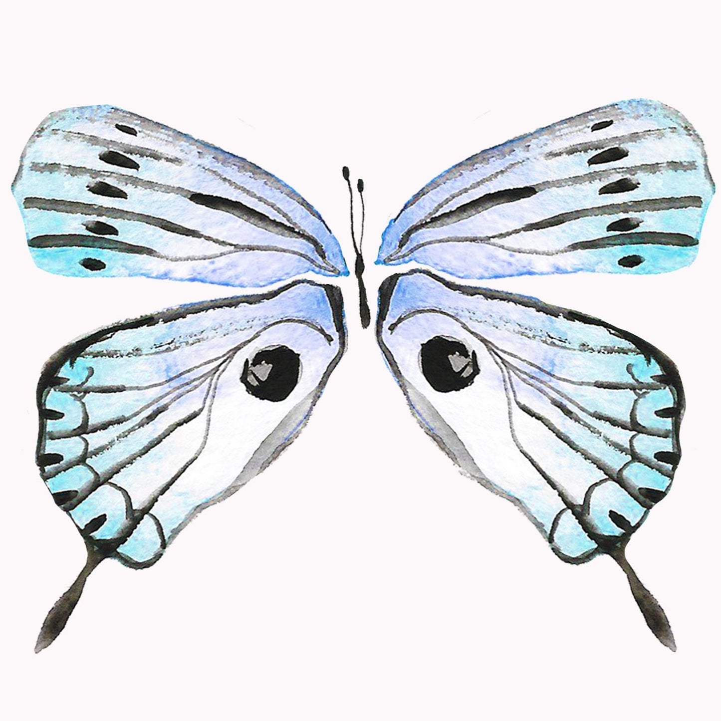 Butterflies Wall Art