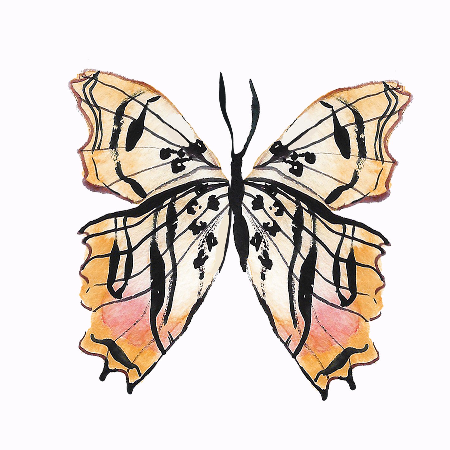 Butterflies Wall Art