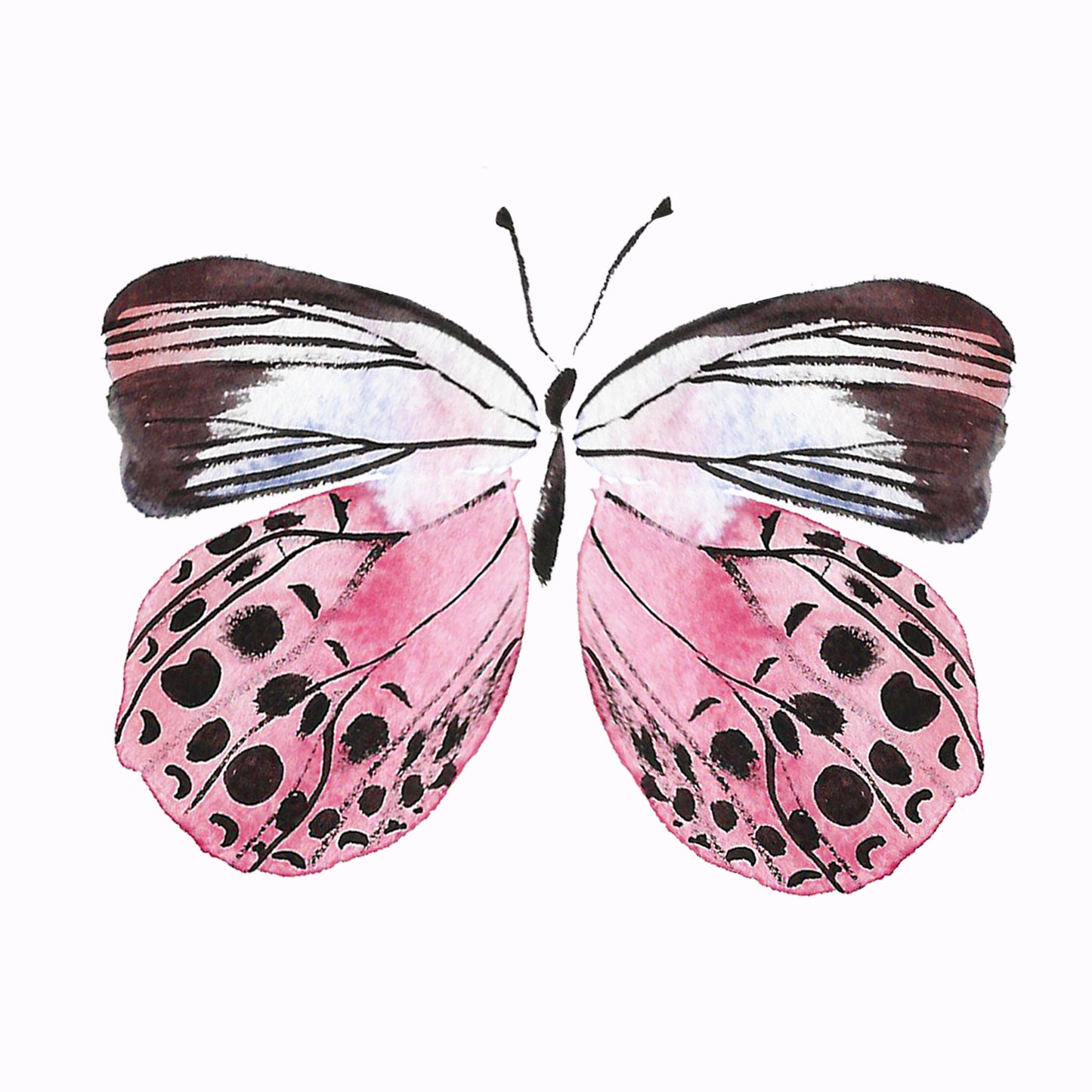 Butterflies Wall Art