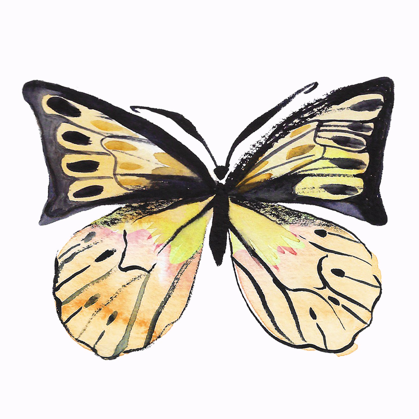 Butterflies Wall Art